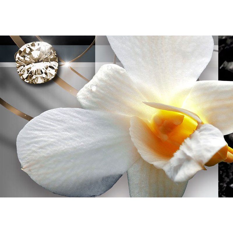 Cuadro Orquídeas solares