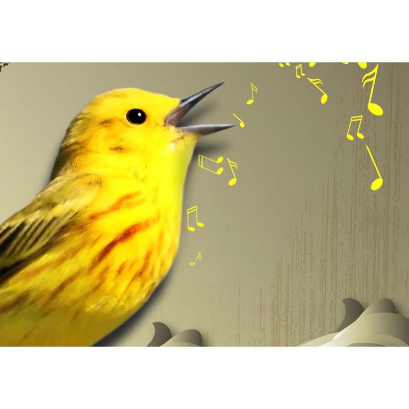Cuadro Canto del pájaro amarillo