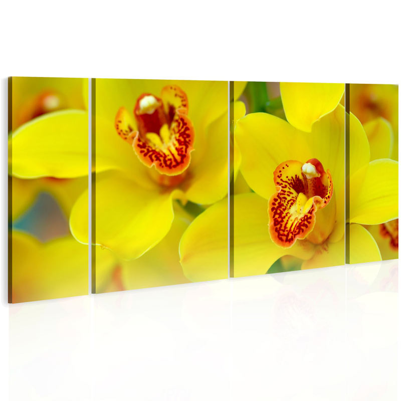 Cuadro Orchids - intensity of yellow color