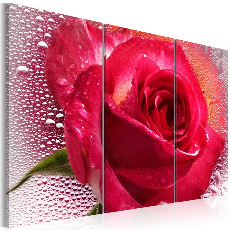 Cuadro Lady Rose - triptych