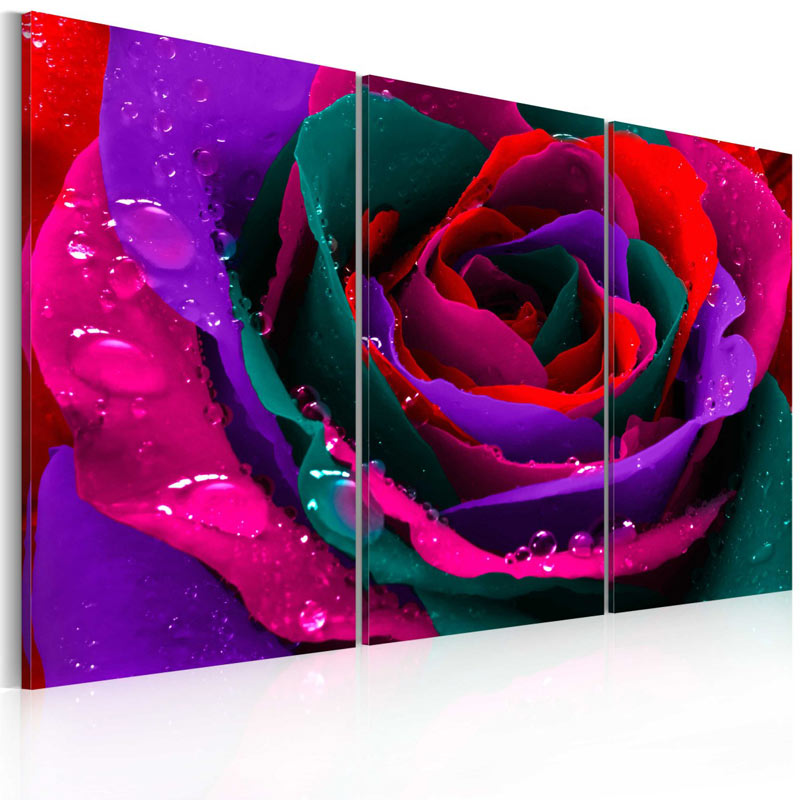 Cuadro Rainbow-hued rose