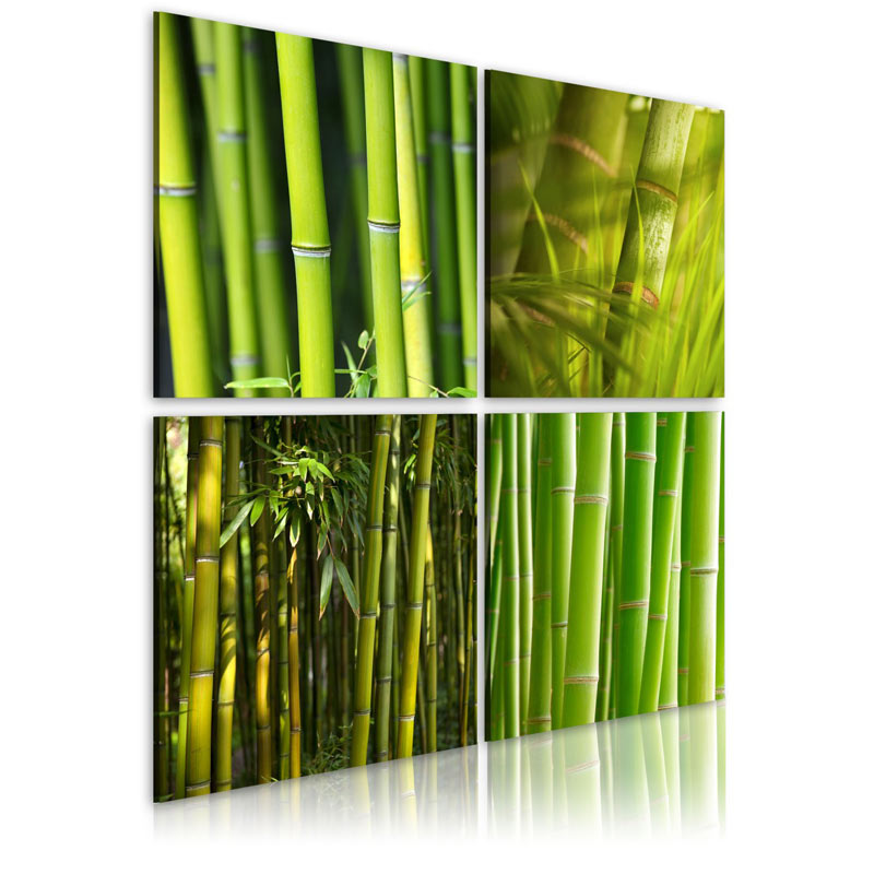 Cuadro Bambúes