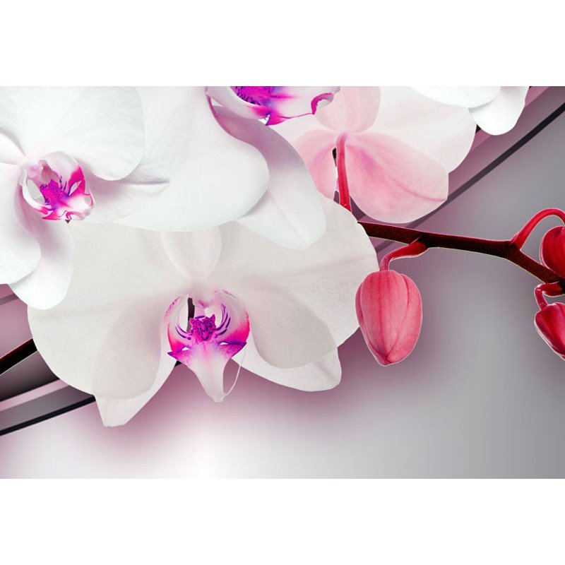 Cuadro Canción de la orquídea