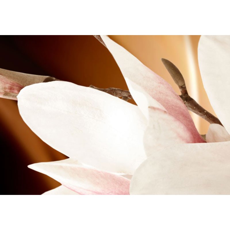 Cuadro Illumination (Magnolia)