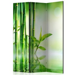 Biombo Green Bamboo