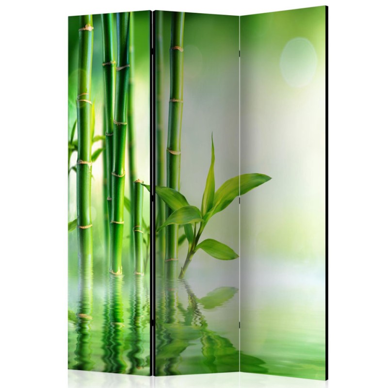 Biombo Green Bamboo