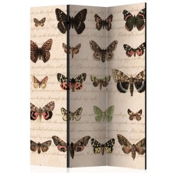 Biombo Retro Style: Butterflies