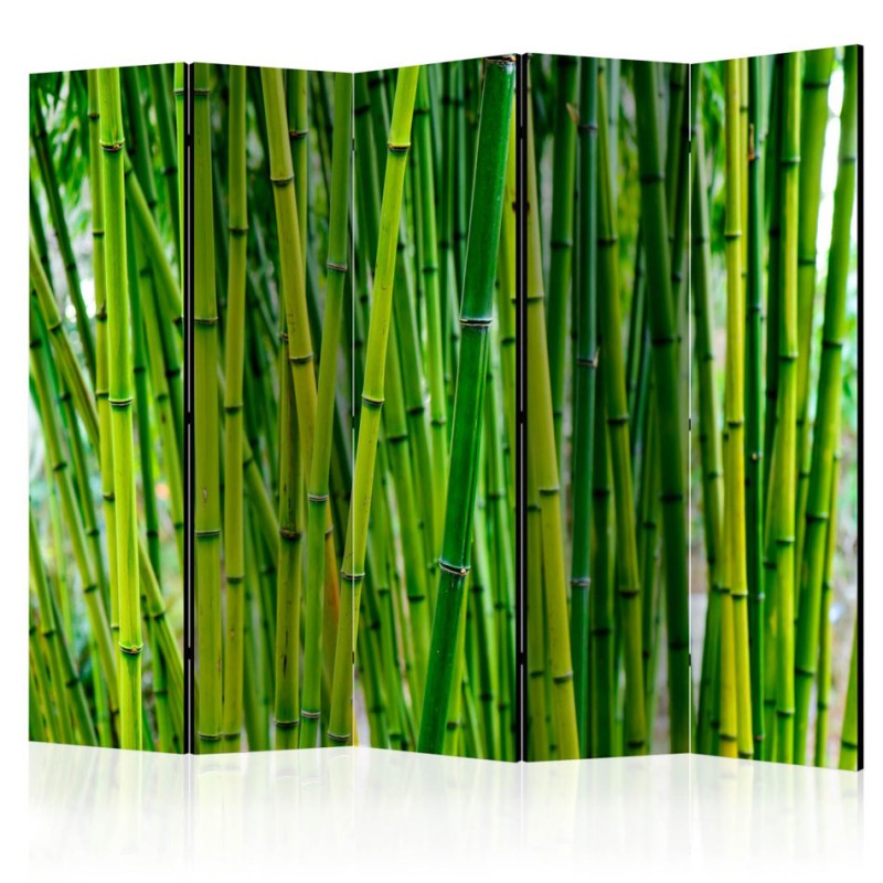 Biombo Bamboo Forest II