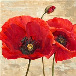Red Poppies (detail II)