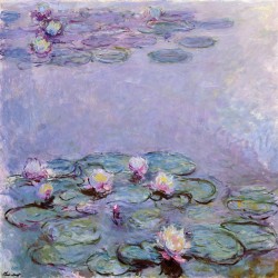 Water Lilies