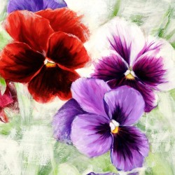 Pansies I