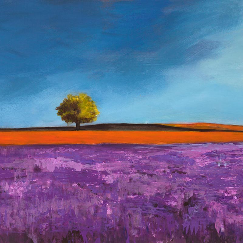 Field of Lavender (detail)