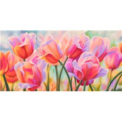 Tulips in Wonderland