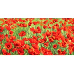 Poppy Field