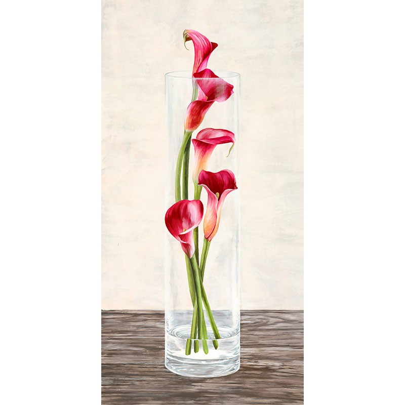 Arrangement of Callas