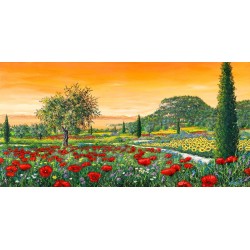 Le colline in fiore