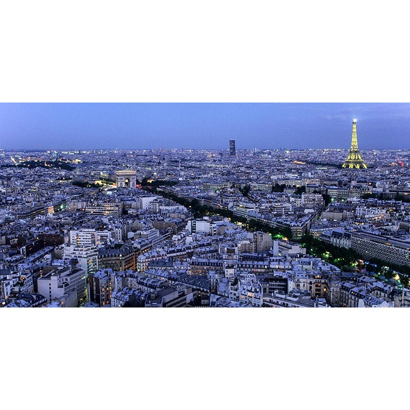 Aerial view of Paris at dusk