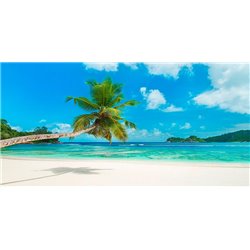 Tropical beach, Seychelles