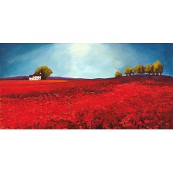 Field of poppies