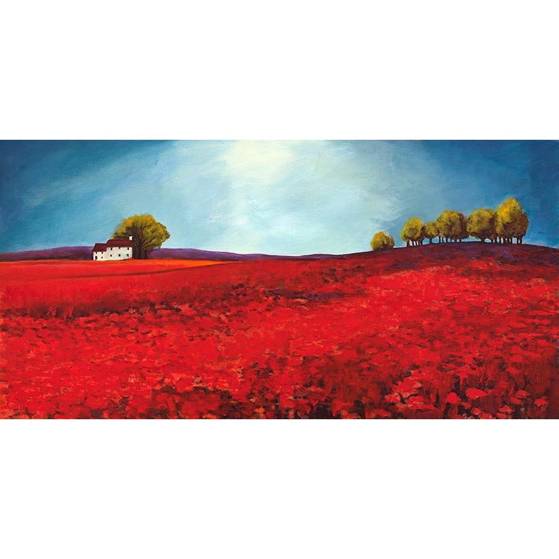 Field of poppies