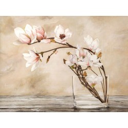 Fiori di magnolia