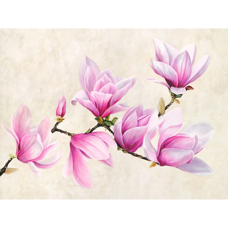 Ramo di magnolia
