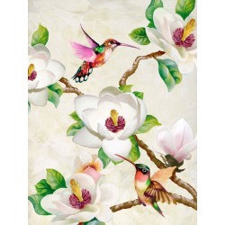 Magnolia and Humming Birds