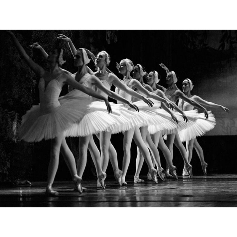 Swan Lake ballet