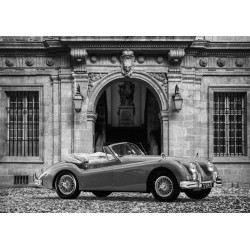 Luxury Car in front of Classic Palace (BW)