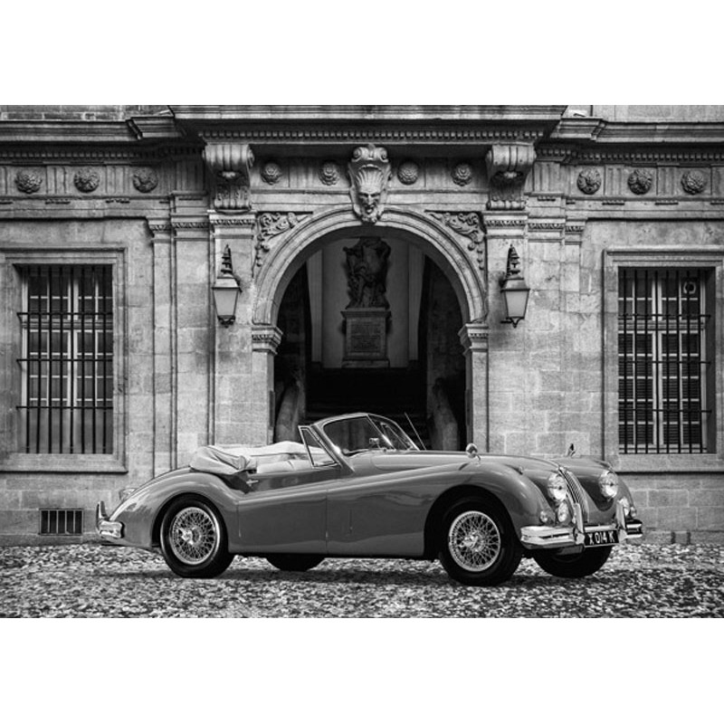 Luxury Car in front of Classic Palace (BW)