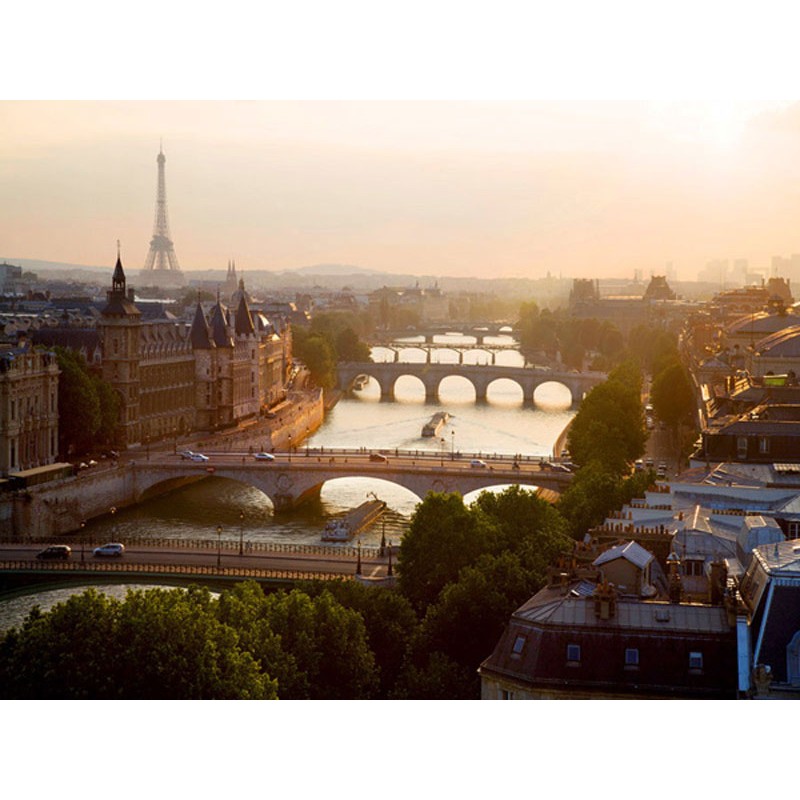 Bridges over the Seine river, Paris