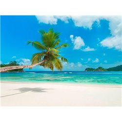 Tropical beach, Seychelles (detail)
