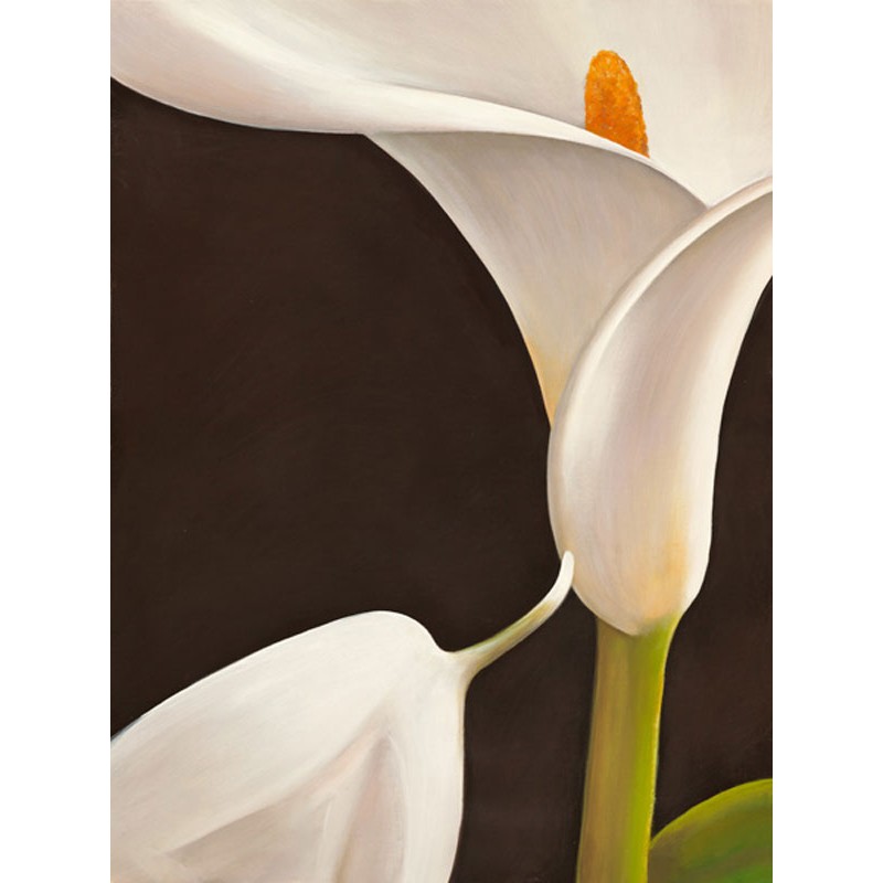 Calla moderna I