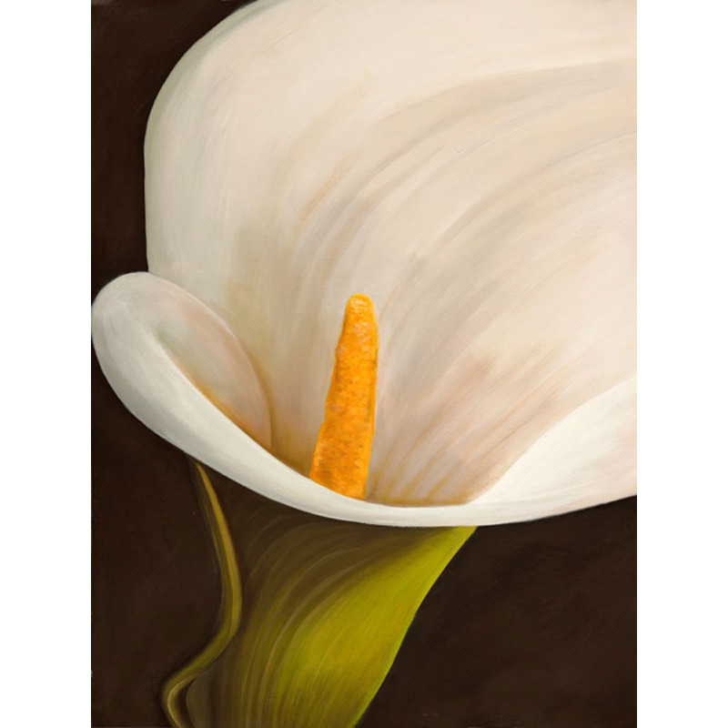 Calla moderna II