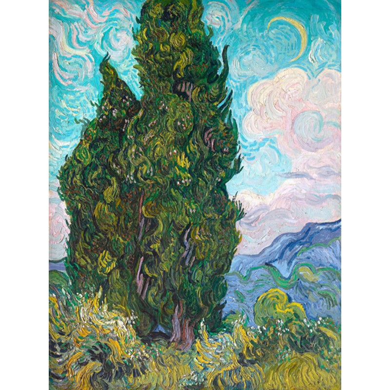 Cypresses