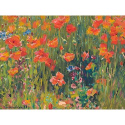 Poppies