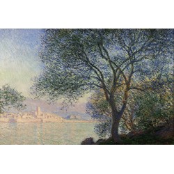 Antibes, vue de la Salis