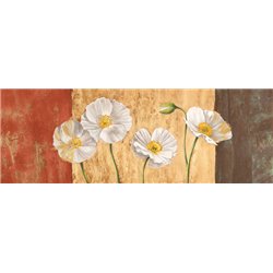 Poppies on Smooth Background