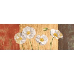 Poppies on Smooth Background