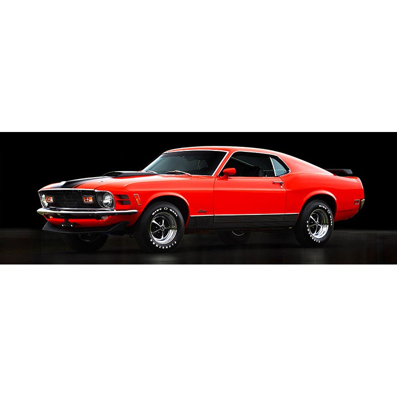 Ford Mustang Mach 1