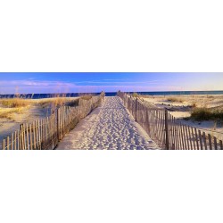 Pathway to the Beach, Florida, USA