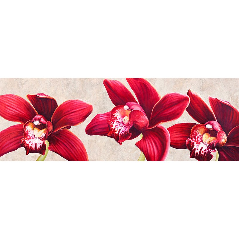 Eleganti orchidee