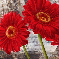 RED GERBERAS I