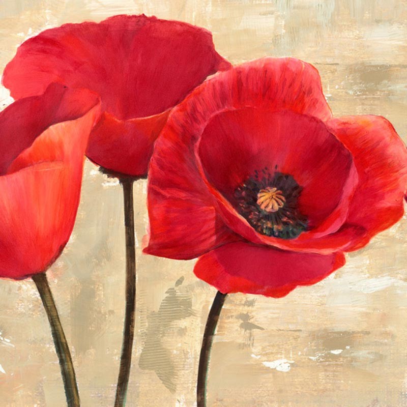 RED POPPIES (DETAIL)