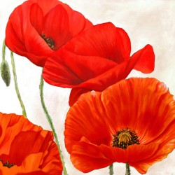 POPPIES II