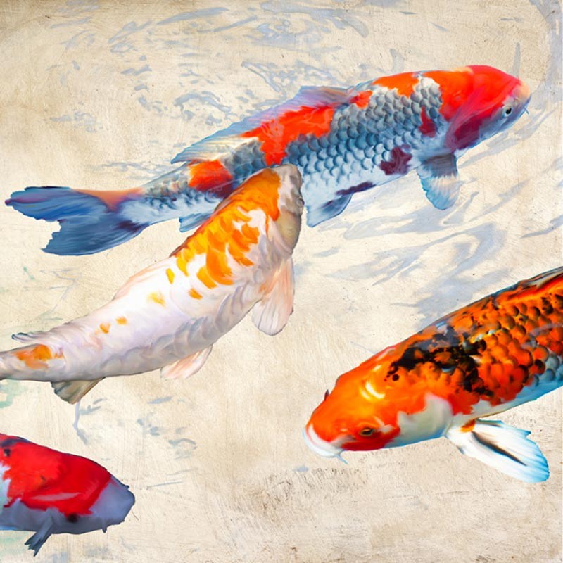 KOI II