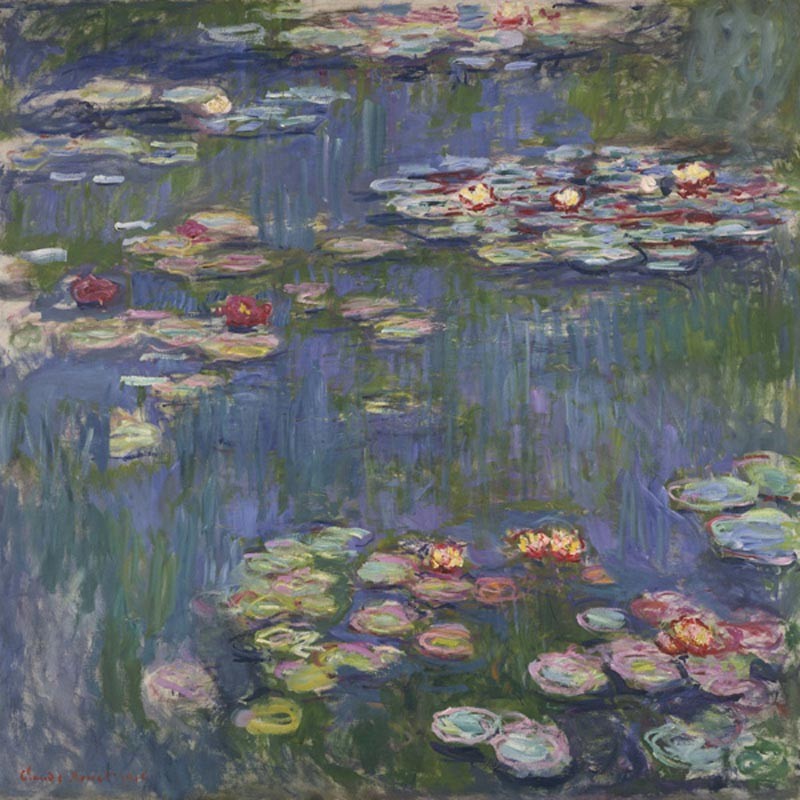 WATER LILIES 