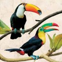 CUADROS ANIMALES