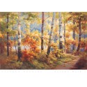 Laminas Paisajes Bosques