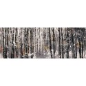 Cuadros Paisajes Modernos